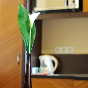 Hotell Baron, Budapest